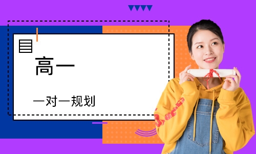 高一 一对一规划