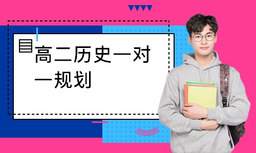 高二历史一对一规划