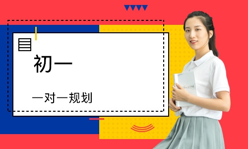 初一 一对一规划