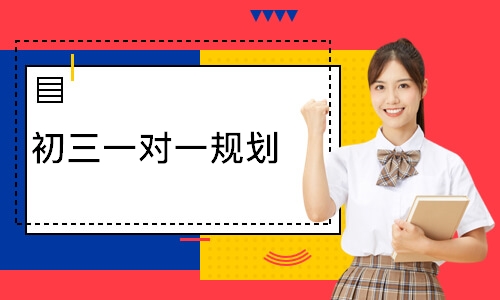 初三一对一规划