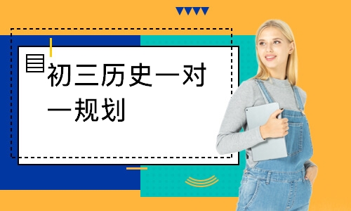 初三历史一对一规划