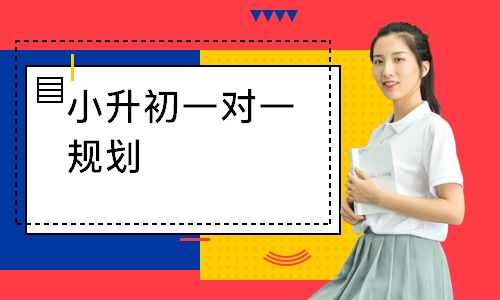 小升初一对一规划