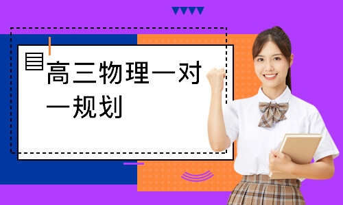 高三物理一对一规划