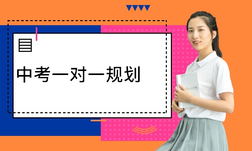 中考一对一规划