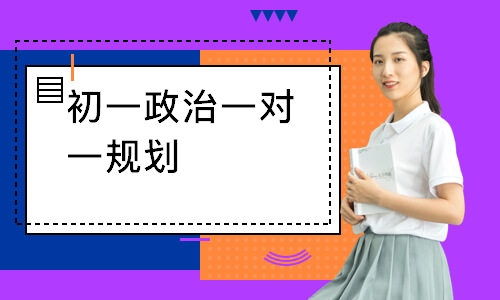 初一政治一对一规划