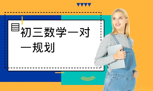 初三数学一对一规划
