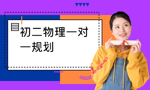 初二物理一对一规划