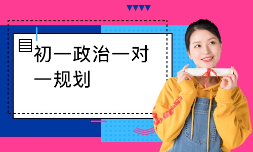 初一政治一对一规划