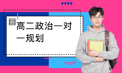 高二政治一对一规划