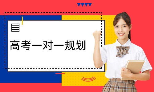 高考一对一规划