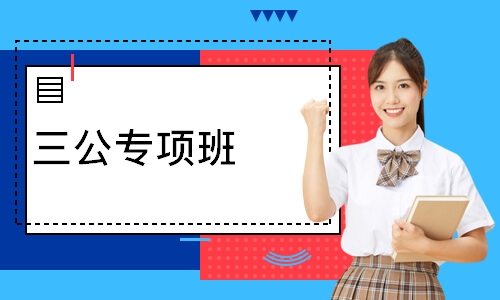 三公专项班