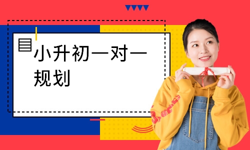小升初一对一规划