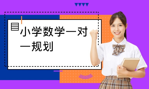 小学数学一对一规划