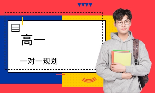 高一 一对一规划