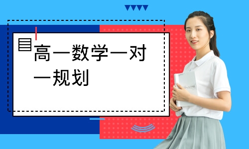 高一数学一对一规划