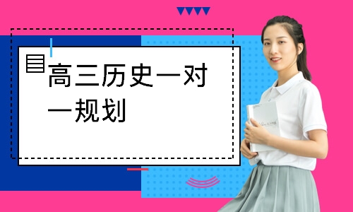 高三历史一对一规划