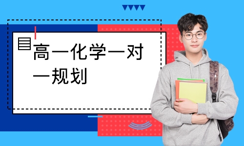 高一化学一对一规划