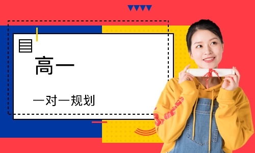 高一 一对一规划
