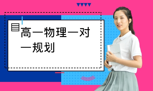 高一物理一对一规划
