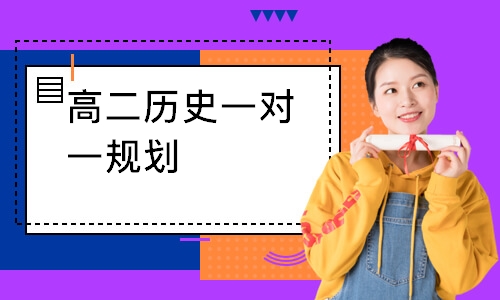 高二历史一对一规划