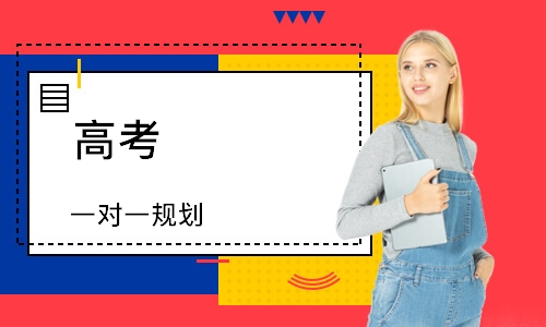 高考 一对一规划