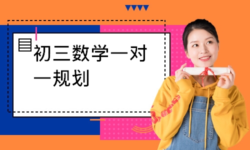 初三数学一对一规划