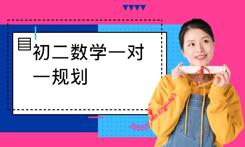 初二数学一对一规划