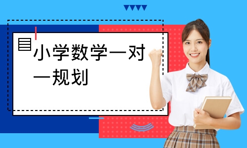 小学数学一对一规划