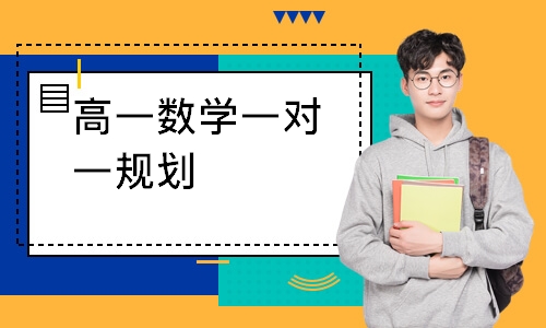 高一数学一对一规划