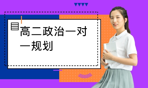 高二政治一对一规划
