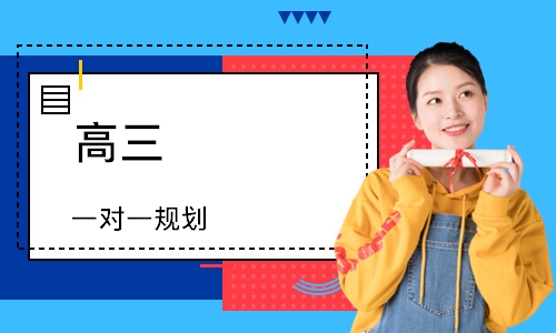 高三 一对一规划