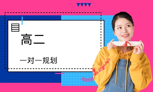 高二 一对一规划