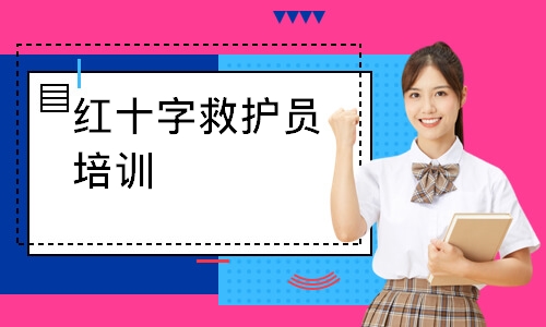 红十字救护员培训