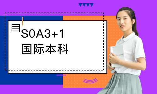 S0A3+1国际本科