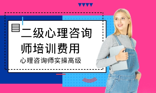 心理咨询师实操高级