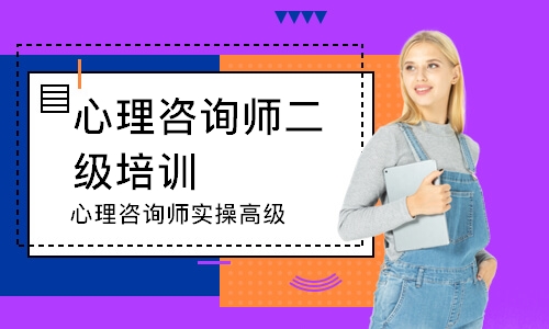 心理咨询师实操高级