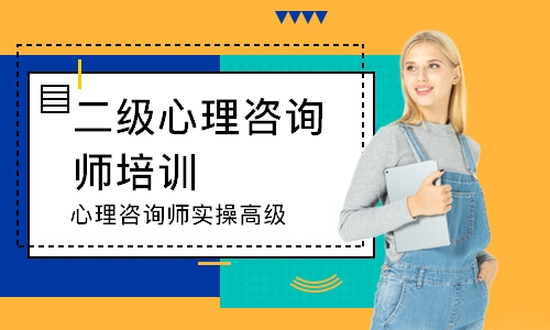 心理咨询师实操高级