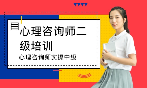 心理咨询师实操中级
