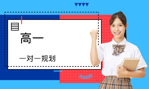 高一 一对一规划
