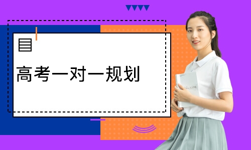 高考一对一规划