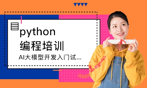 AI大模型开发入门试学班