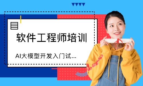 AI大模型开发入门试学班