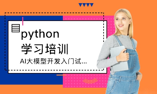 AI大模型开发入门试学班