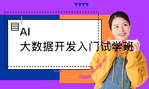 AI大数据开发入门试学班