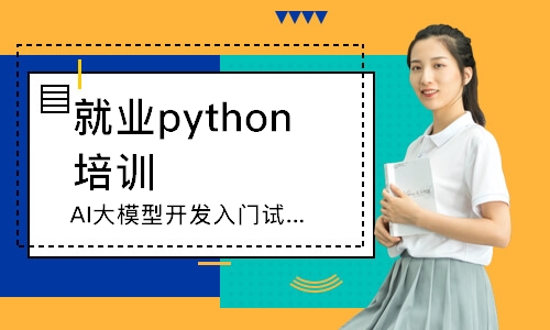 AI大模型开发入门试学班