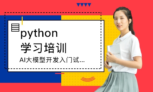 AI大模型开发入门试学班