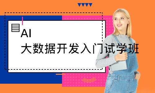 AI大数据开发入门试学班