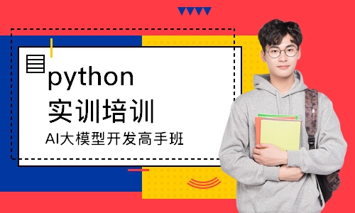 AI大模型开发高手班