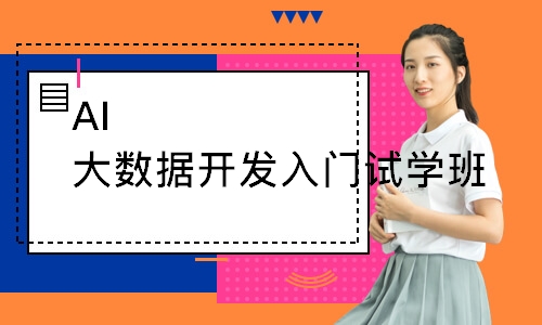 AI大数据开发入门试学班