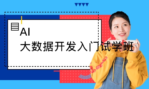 AI大数据开发入门试学班